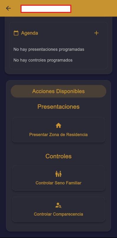 Case detail with empty Agenda and Available Actions (presentations and controls)